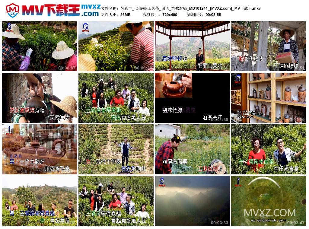 吴森丰_七仙姐-工夫茶_国语_情歌对唱_MD101241